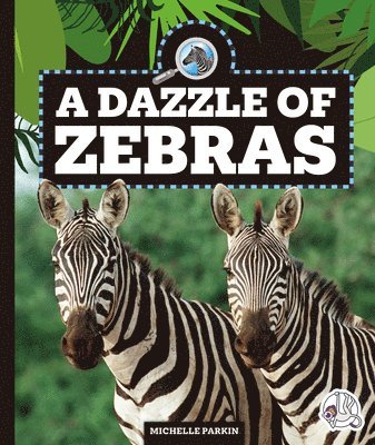 bokomslag A Dazzle of Zebras