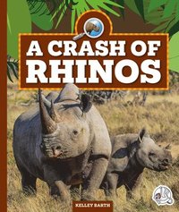 bokomslag A Crash of Rhinos