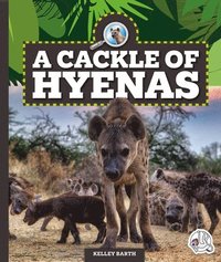 bokomslag A Cackle of Hyenas