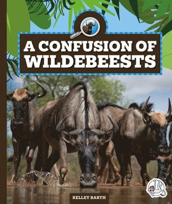 A Confusion of Wildebeests 1