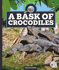 bokomslag Barth, K: Bask of Crocodiles