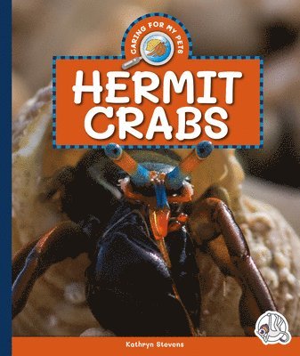 bokomslag Hermit Crabs