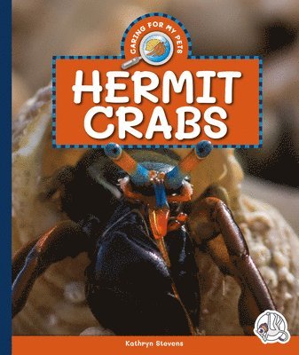 Hermit Crabs 1