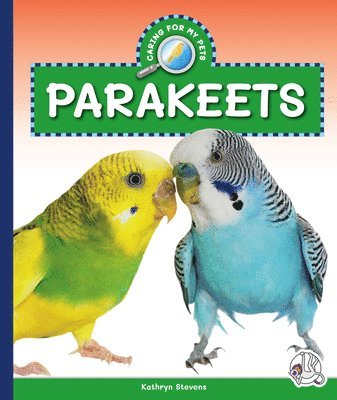 Parakeets 1