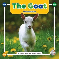 bokomslag The Goat