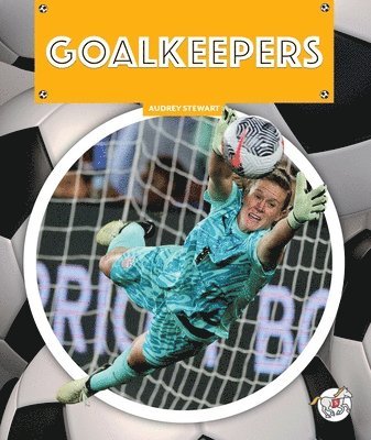 bokomslag Goalkeepers