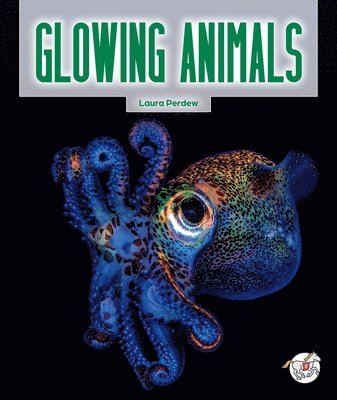 bokomslag Glowing Animals