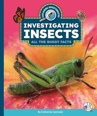 bokomslag Investigating Insects: All the Buggy Facts