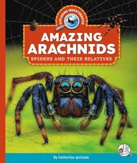 bokomslag Amazing Arachnids