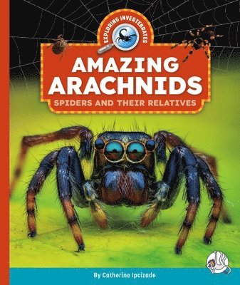 bokomslag Amazing Arachnids: Spiders and Their Relatives