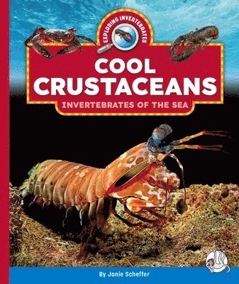 bokomslag Cool Crustaceans: Invertebrates of the Sea