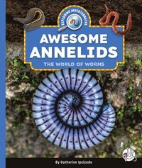 bokomslag Awesome Annelids