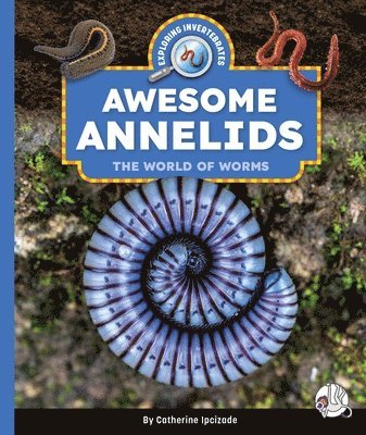 bokomslag Awesome Annelids