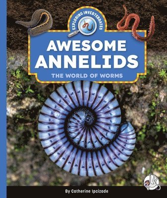 bokomslag Awesome Annelids: The World of Worms