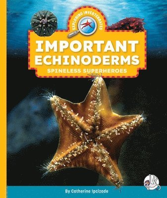 bokomslag Important Echinoderms: Spineless Superheroes