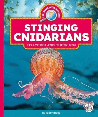 bokomslag Stinging Cnidarians: Jellyfish and Their Kin