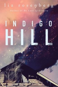 bokomslag Indigo Hill