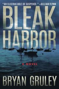 bokomslag Bleak Harbor