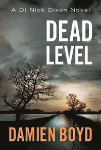 bokomslag Dead Level