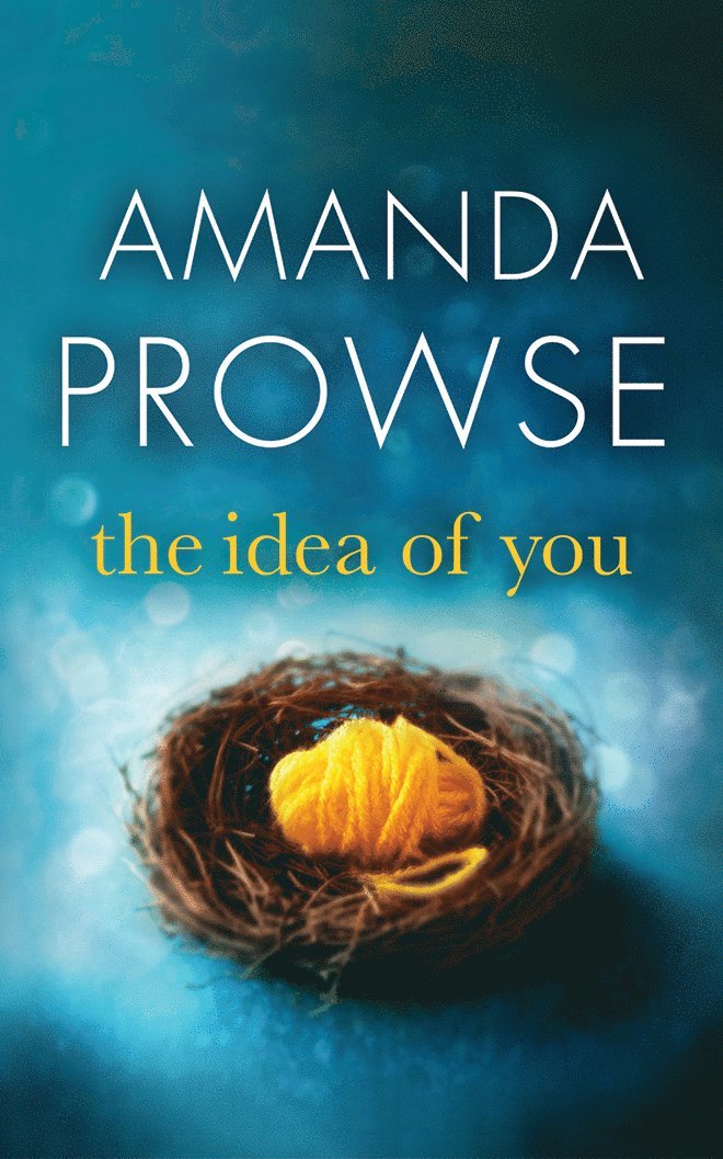Amanda Prowse - Idea of You, Häftad