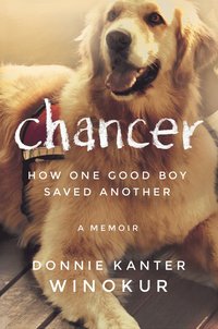 bokomslag Chancer