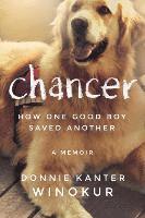 Donnie Kanter Winokur - Chancer, Häftad