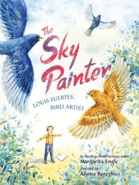 bokomslag The Sky Painter