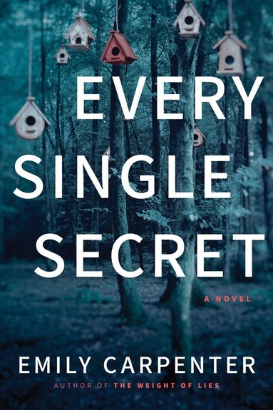 Emily Carpenter - Every Single Secret, Häftad