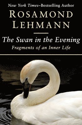 The Swan in the Evening 1