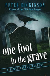 bokomslag One Foot in the Grave
