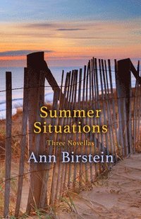 bokomslag Summer Situations: Three Novellas