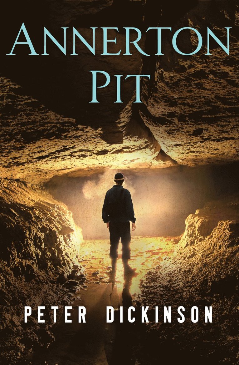 Peter Dickinson - Annerton Pit, Häftad