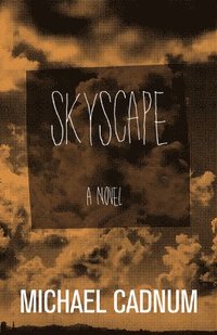 bokomslag Skyscape