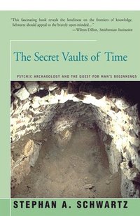 bokomslag The Secret Vaults of Time