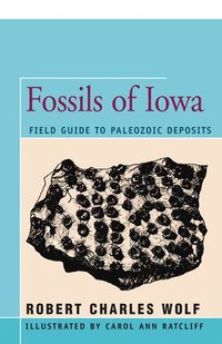 bokomslag Fossils of Iowa