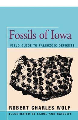 Robert Wolf - Fossils of Iowa, Häftad