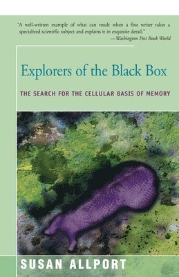 Susan Allport - Explorers of the Black Box, Häftad