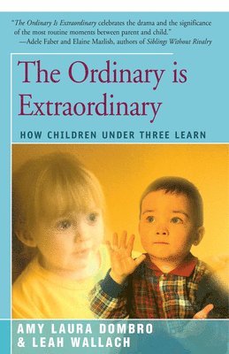 Amy Laura Dombro, Leah Wallach - Ordinary is Extraordinary, Häftad
