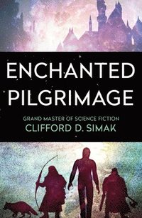 bokomslag Enchanted Pilgrimage