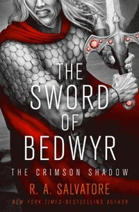 bokomslag The Sword of Bedwyr