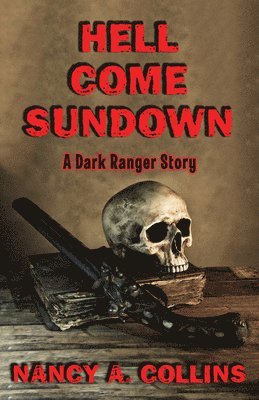 bokomslag Hell Come Sundown: A Dark Ranger Story