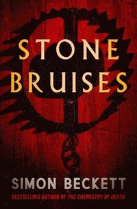 bokomslag Stone Bruises