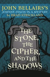 bokomslag The Stone, the Cipher, and the Shadows