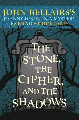 bokomslag The Stone, the Cipher, and the Shadows