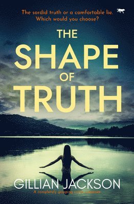 The Shape of Truth 1