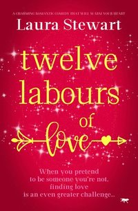 bokomslag Twelve Labours of Love