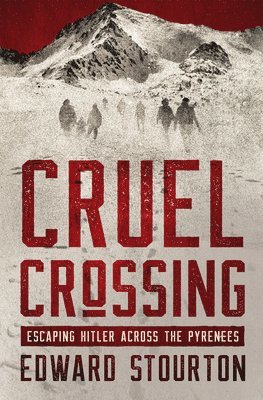 bokomslag Cruel Crossing