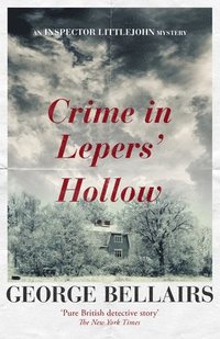bokomslag Crime in Lepers' Hollow