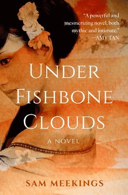 Sam Meekings - Under Fishbone Clouds, Häftad