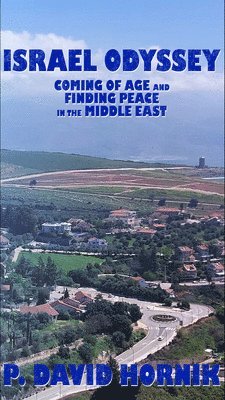 bokomslag Israel Odyssey